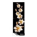 MINISTER M-242 EL VINTAGE TULIP  Be the first to review this product