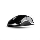 Rapoo N6000 USB Mini Mouse  Product ID 1008301